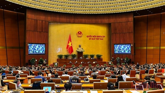 Đại biểu Quốc hội ghi nhận sự linh hoạt trong chỉ đạo, điều hành của Chính phủ