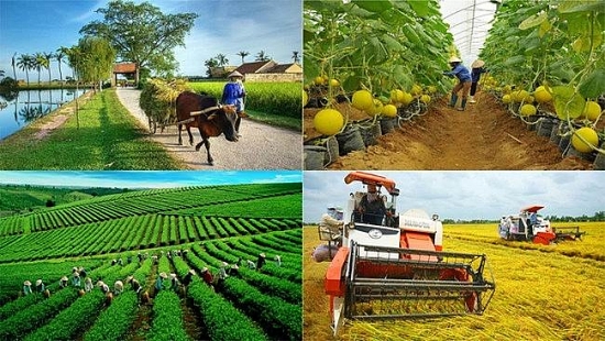 Tổng kết 20 năm Nghị quyết 13-NQ/TW và 10 năm thi hành Luật HTX trong lĩnh vực phi nông nghiệp