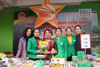Hapro tích cực hỗ trợ quảng bá, giới thiệu và phân phối sản phẩm nông sản tỉnh Yên Bái tại hệ thống Hapromart – Intimex Hà Nội