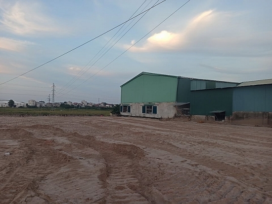 UBND huyện Thường Tín bán đấu giá đất khi chưa xây dựng hạ tầng