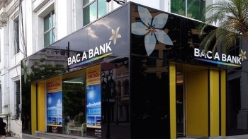 Nhiều ngân hàng được thành lập thêm chi nhánh và phòng giao dịch