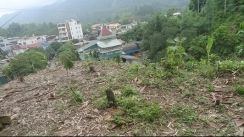 Đấu giá quyền sử dụng đất tại huyện Văn Chấn, tỉnh Yên Bái
