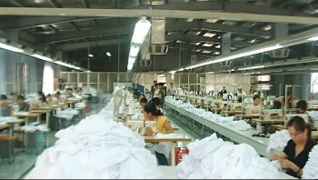 Đấu giá bán cổ phần Công ty CP sản xuất – xuất nhập khẩu Ninh Bình