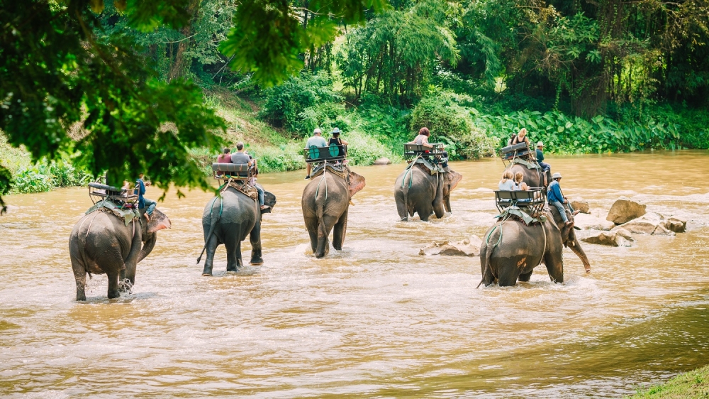 ngam chiang mai thai lan tu tren cao bang khinh khi cau