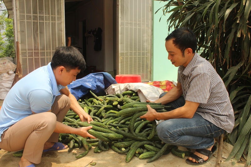 khoi nghiep tu su that bai voi dua chuot nhat cua chang trai 8x