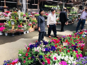 Doanh nhân người Việt kinh doanh hoa “có cái tâm lớn” trên đất nước Nhật