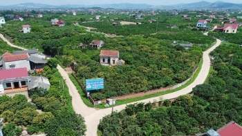 Đấu giá quyền sử dụng đất tại tỉnh Bắc Giang và Đồng Nai
