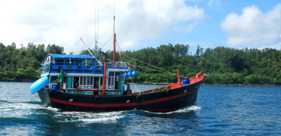 dau gia tau ca da qua su dung tai thanh pho da nang