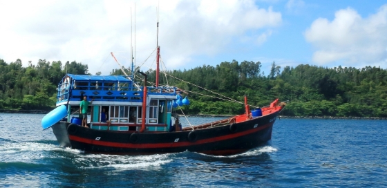 Đấu giá tàu cá đã qua sử dụng tại thành phố Đà Nẵng