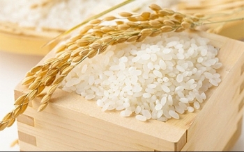 Giá gạo hôm nay 3/1: Xu hướng giảm nhẹ