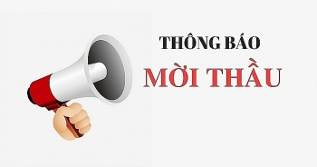 Điểm tin mời thầu ngày 10/1/2020