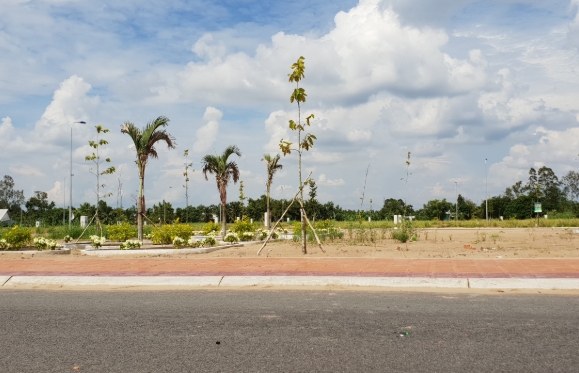 Đấu giá quyền sử dụng đất tại thị xã Ngã Bảy, tỉnh Hậu Giang
