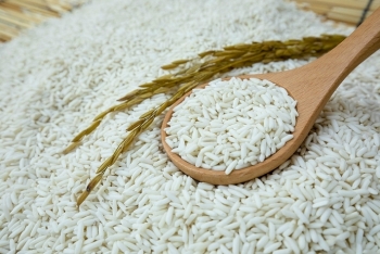 Giá gạo hôm nay 21/1: Giá gạo nếp tăng mạnh