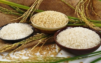 Giá gạo hôm nay 30/1: Giảm nhẹ sau dịp Tết