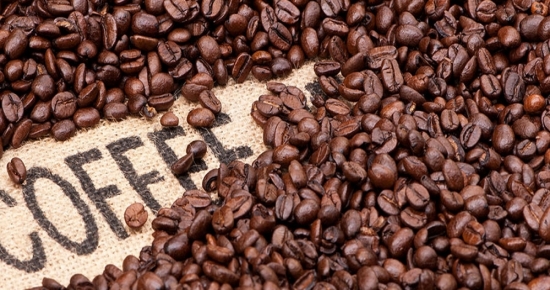 Giá cà phê hôm nay 4/1: Giữ mức ổn định tại các vùng trọng điểm