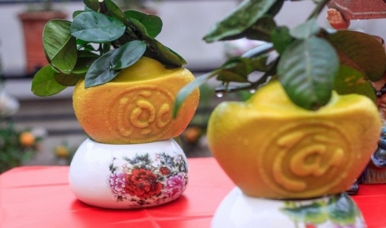 Những loại trái cây được tạo hình độc đáo thu hút khách hàng dịp Tết