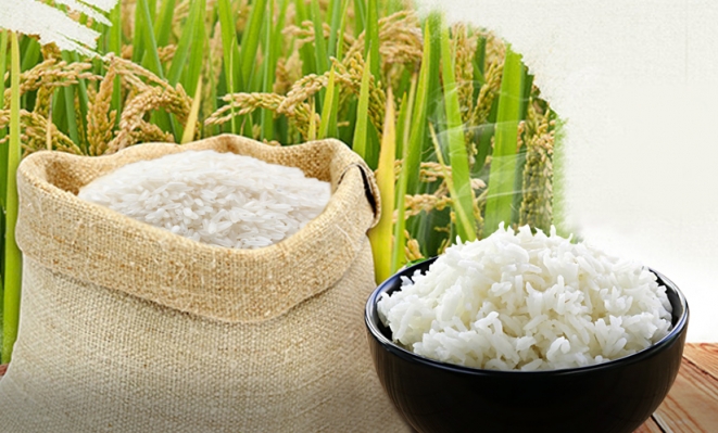 Giá gạo hôm nay 25/1/2021: Duy trì ổn định tại thị trường bán lẻ