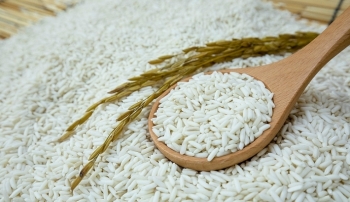 Giá gạo hôm nay 1/2: Ổn định giá