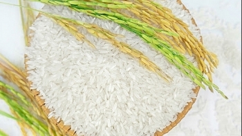 Giá gạo hôm nay 3/2: Ổn định giá