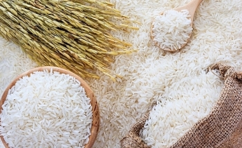 Giá gạo hôm nay 7/2: Giá bán lẻ giảm nhẹ