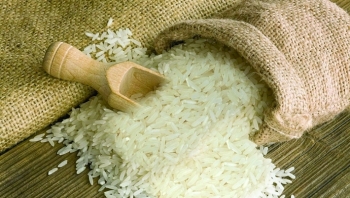 Giá gạo hôm nay 10/2: Giá xuất khẩu tiếp tục tăng