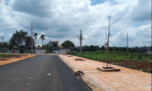 Lịch đấu giá quyền sử dụng đất tại thị xã Buôn Hồ, tỉnh Đắk Lắk