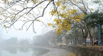 Dự báo thời tiết đêm 13 và ngày 14/2: Hà Nội có mưa và mưa nhỏ rải rác