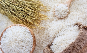 Giá gạo hôm nay 15/2: Chuỗi ngày tăng liên tiếp