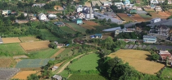 Đấu giá quyền sử dụng đất tại huyện Đơn Dương, tỉnh Lâm Đồng