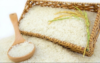 Giá gạo hôm nay 21/2: Gạo TP IR 504 tăng lên 7.950 đồng/kg