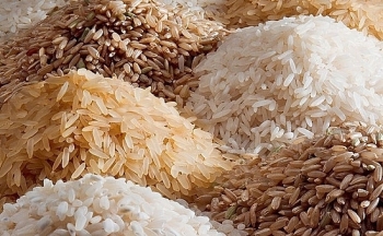 Giá gạo hôm nay 23/2: Ổn định giá
