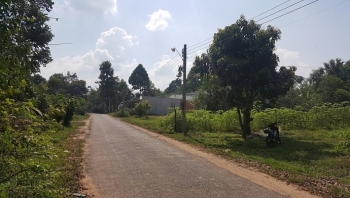 Đấu giá quyền sử dụng đất tại huyện Bến Cầu và Gò Dầu, tỉnh Tây Ninh