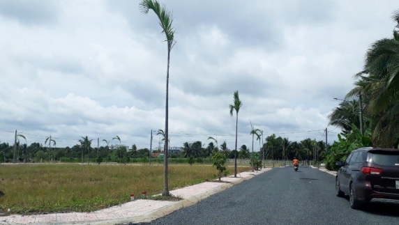 dau gia vat tu thao do va quyen su dung dat tai tinh tien giang