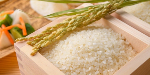Giá gạo hôm nay 8/2/2021: Thị trường trong nước ổn định