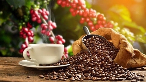 Giá cà phê hôm nay 14/2/2021: Cà phê trong nước tiến sát mốc 32 triệu đồng/tấn