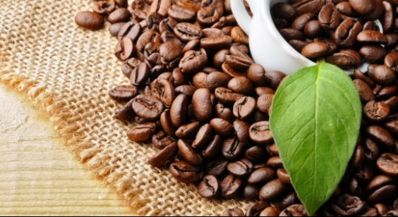 Giá cà phê hôm nay 17/2/2021: Cà phê Robusta hồi phục