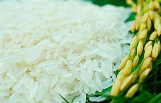 Giá gạo hôm nay 18/2/2021: Thị trường xuất khẩu đầu năm giảm mạnh
