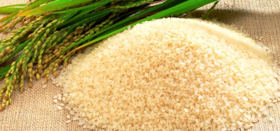 Giá gạo hôm nay 20/2/2021: Gạo xuất khẩu Việt Nam giữ mức cao
