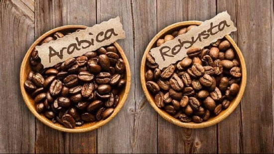 Giá cà phê hôm nay 24/2/2021: Thị trường trong nước tăng 300-400 đồng/kg