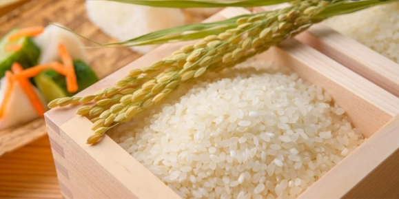 Giá gạo hôm nay 27/2/2021: Gạo Việt xuất khẩu giữ mức 505 - 510 USD/tấn