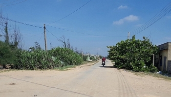 Đấu giá QSDĐ tại huyện Phú Hòa, tỉnh Phú Yên