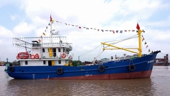 Lịch đấu giá tàu cá vỏ thép tại tỉnh Thanh Hoá
