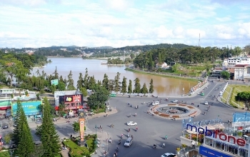 Đấu giá quyền sử dụng đất và máy móc thiết bị tại huyện Bảo Lâm, tỉnh Lâm Đồng