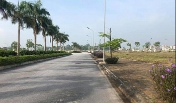 Đấu giá quyền sử dụng đất tại huyện Phú Xuyên, thành phố Hà Nội