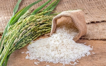 Giá gạo hôm nay 29/3: Tăng mạnh trong nước