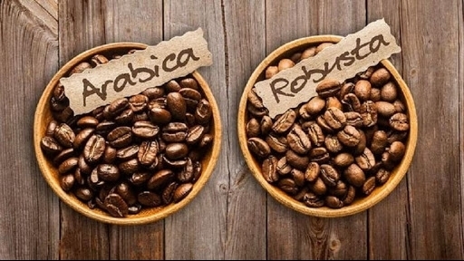 Xuất khẩu cà phê tháng 2/2021: Giá cà phê toàn cầu tăng mạnh