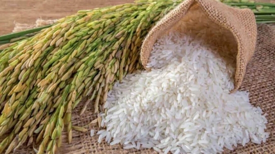 Giá gạo hôm nay 16/3/2021: Giá lúa gạo trong nước đi lên do nhu cầu tăng mạnh