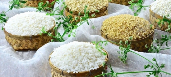 Giá gạo hôm nay 24/3/2021: Gạo Việt xuất khẩu giữ mức 500 - 510 USD/tấn