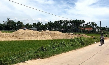 Ngày 8/5/2020, đấu giá quyền sử dụng đất tại thành phố Quy Nhơn, tỉnh Bình Định