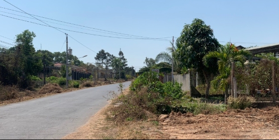 Đấu giá cho thuê quyền sử dụng đất tại huyện Bến Cầu, tỉnh Tây Ninh